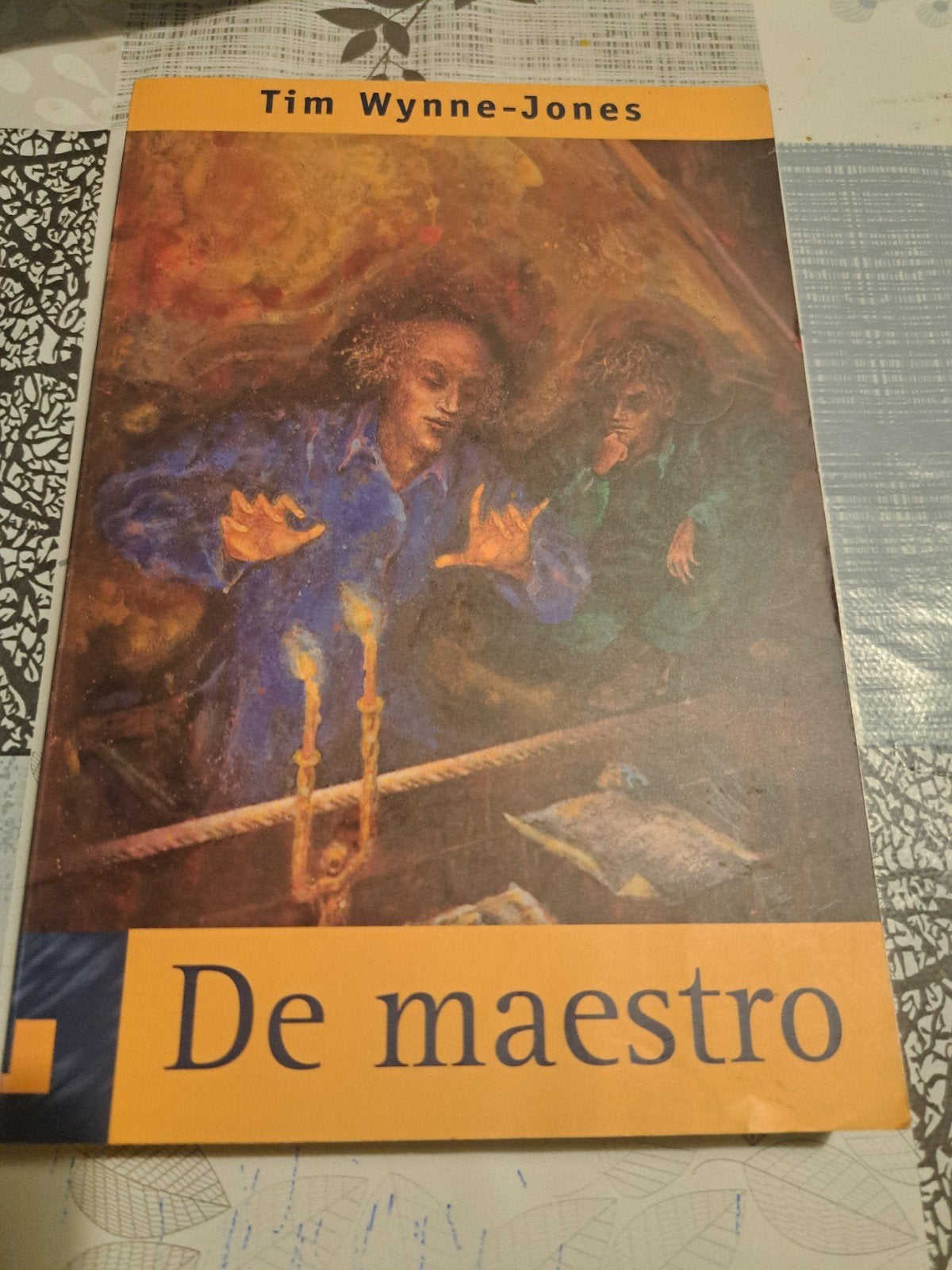 De Maestro - Tim Wynne-Jones (Boek), Ophalen, Zo goed als nieuw, Tim Wynne-Jones, Nederland