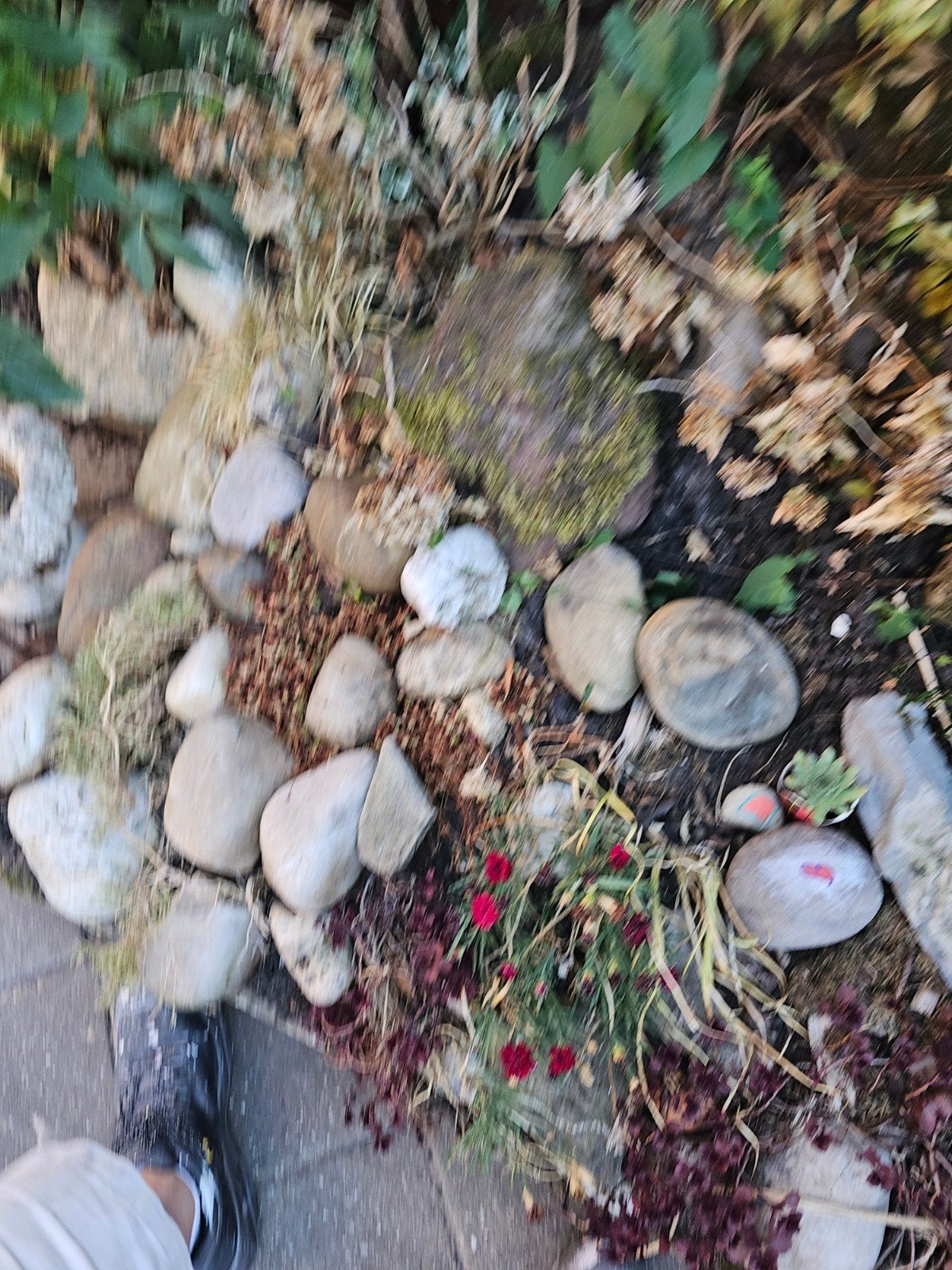 12 lavastenen circa 20 a 30 cm waarschijnlijk meer, Ophalen, Gebruikt