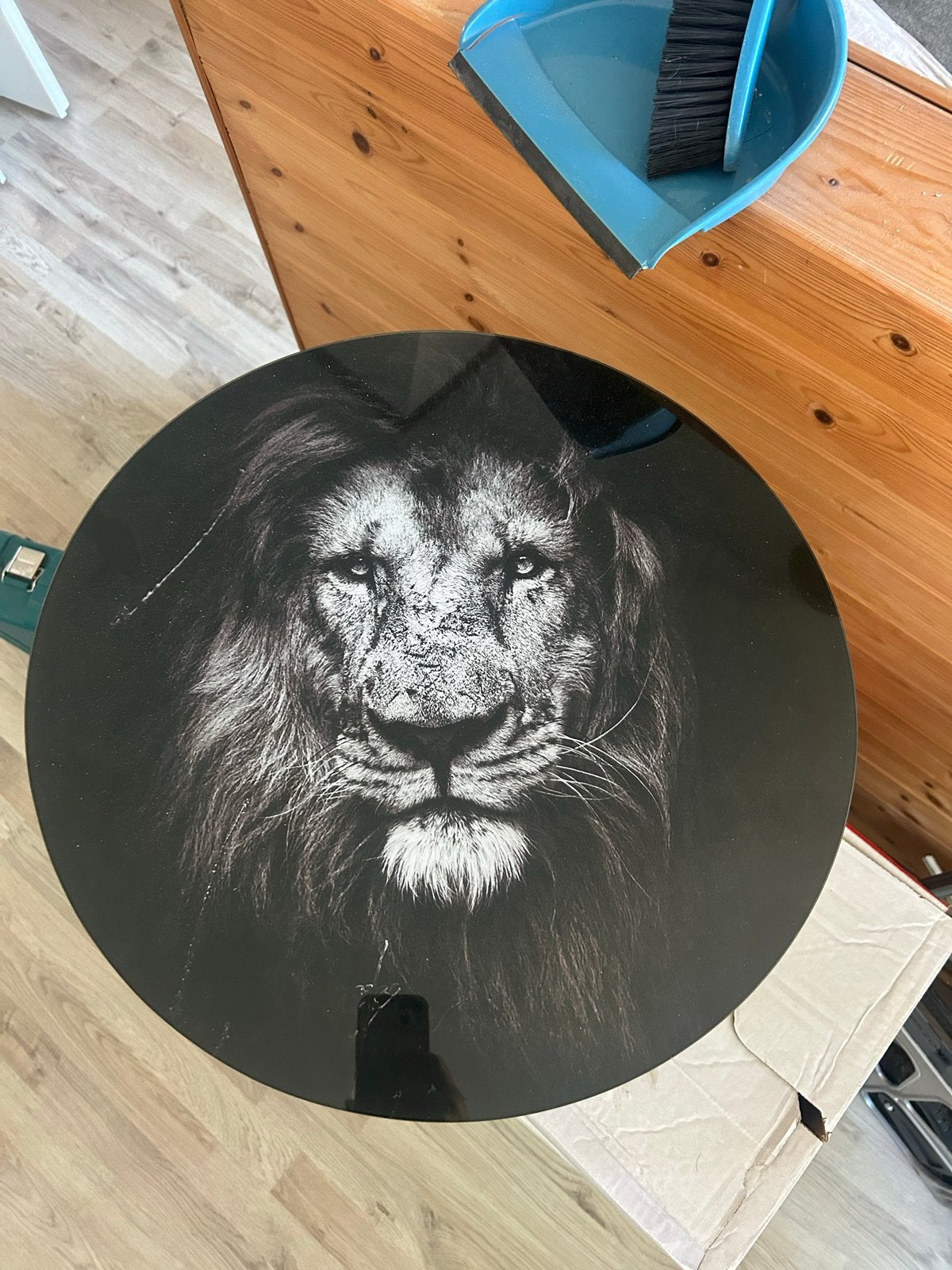 Nieuw Glasschilderij Leeuw - Onbeschadigd, Ophalen, Zo goed als nieuw, Minder dan 50 cm, Schilderij