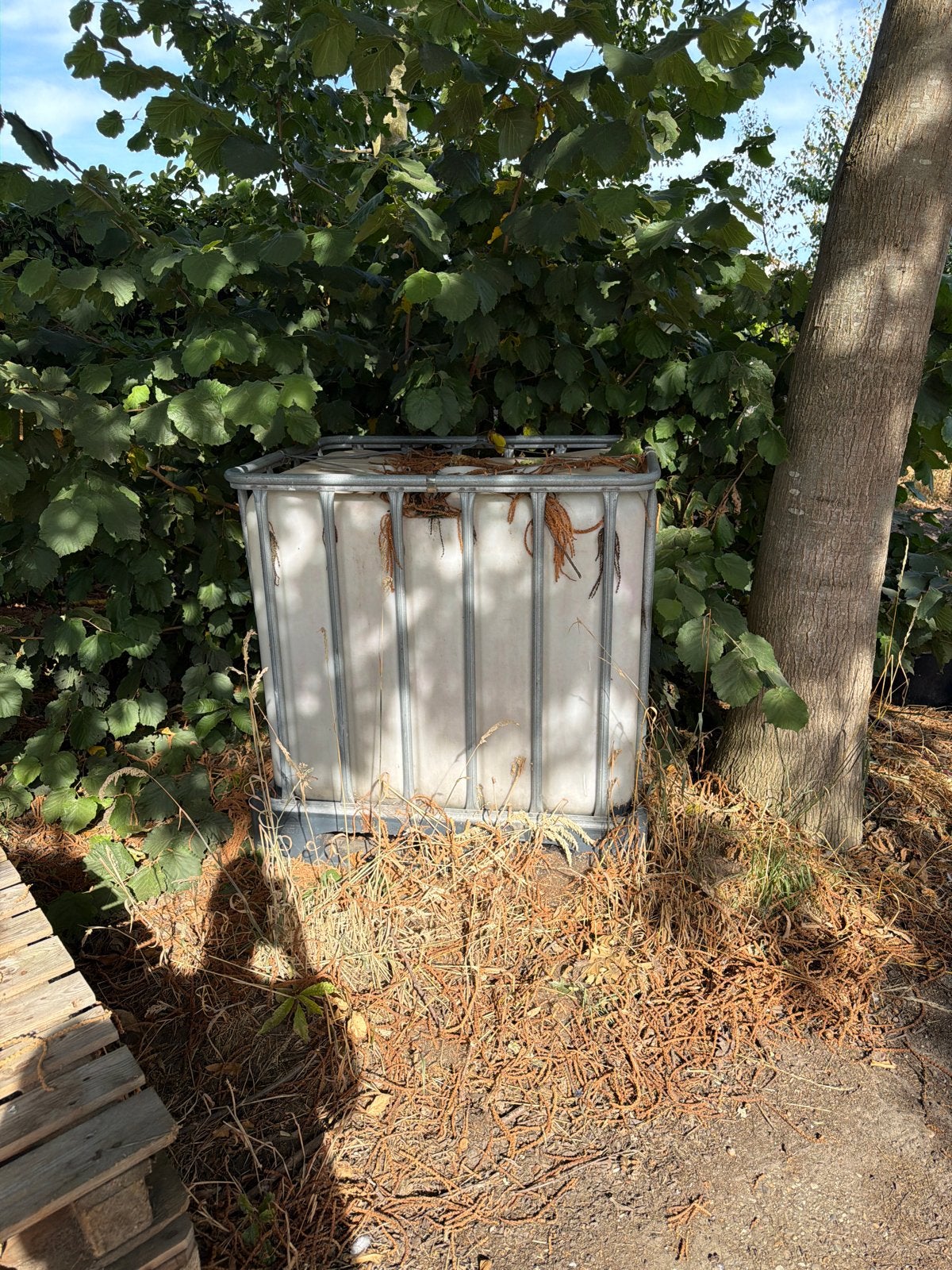 IBC Watertank 1000L - Gebruikt, Tuin en Terras, Regentonnen, 150 liter of meer, Ophalen, Gebruikt, Kunststof