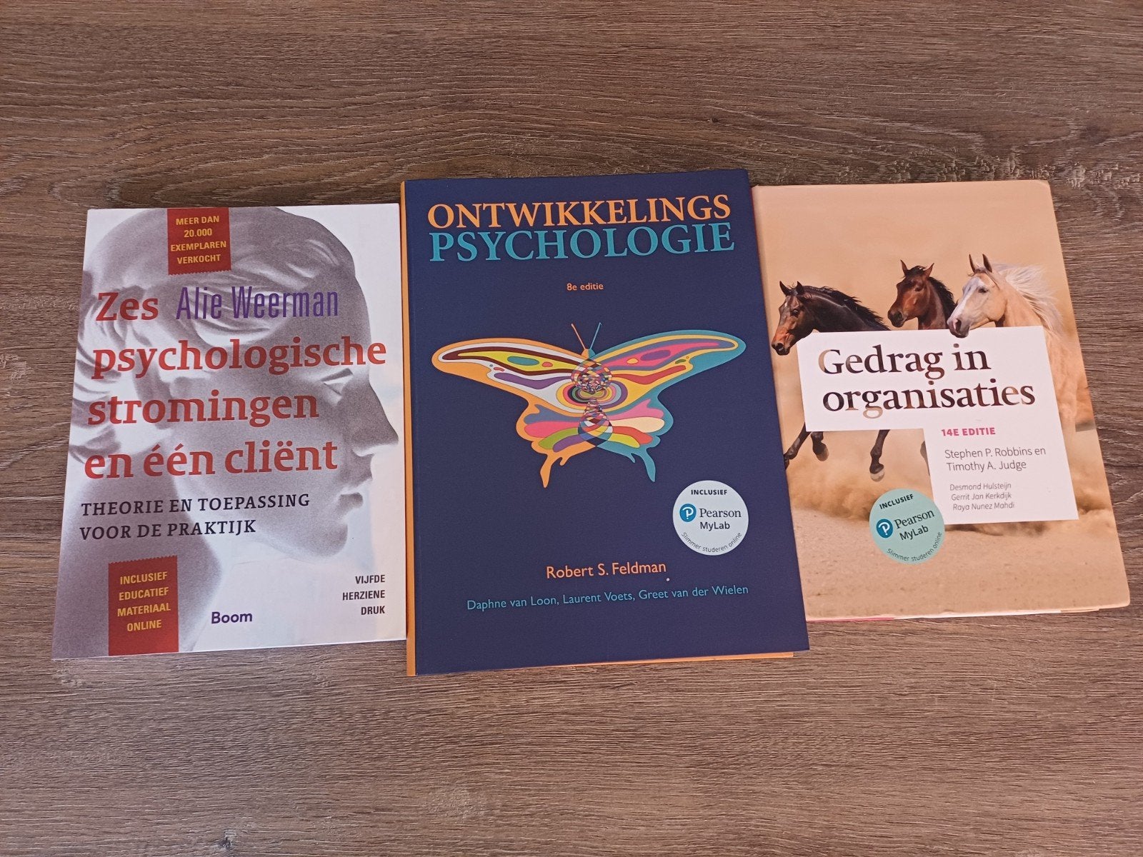 Studieboeken HBO Social Work, Verzenden, Gamma, Zo goed als nieuw, HBO