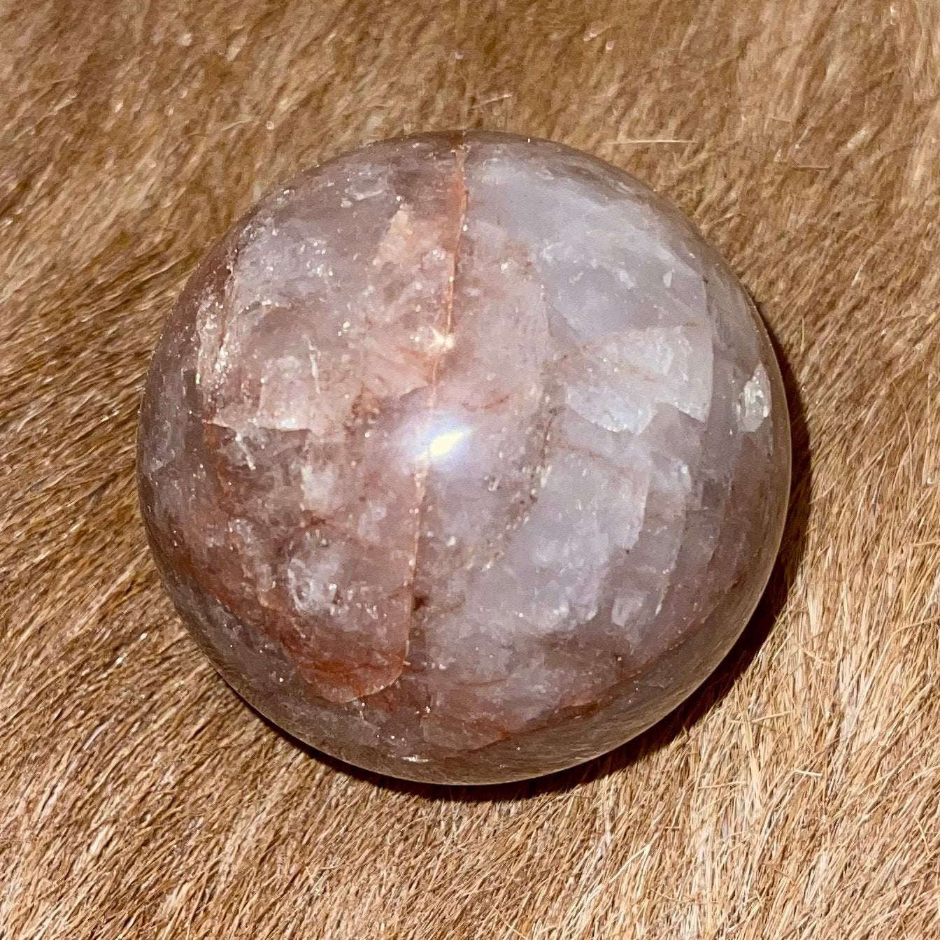 Red Haeler Bol - 5,5cm, Verzenden, Nieuw