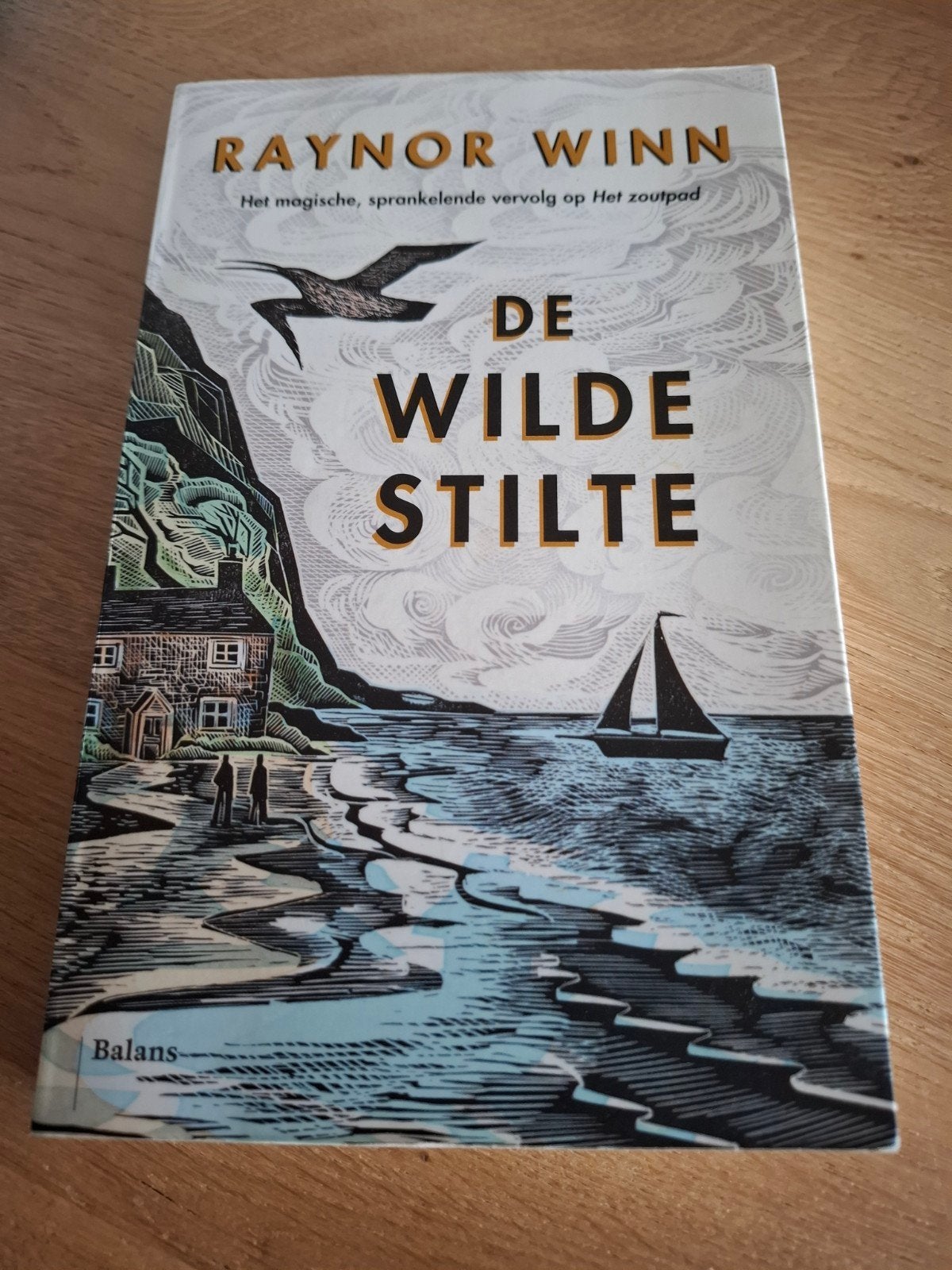 Raynor Winn - De wilde stilte, Boeken, Ophalen of Verzenden, Zo goed als nieuw, Natuur algemeen, Raynor Winn