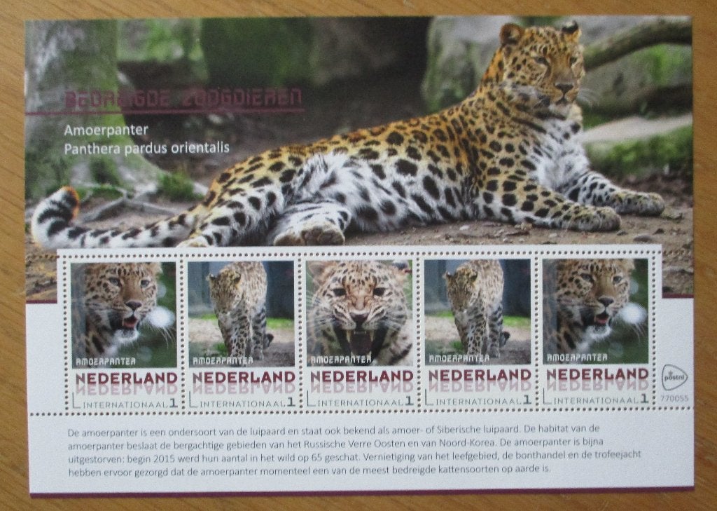 Nederland, velletje Amoerpanter (Internationaal 1 zegels), Verzenden, Postfris, Dier of Natuur
