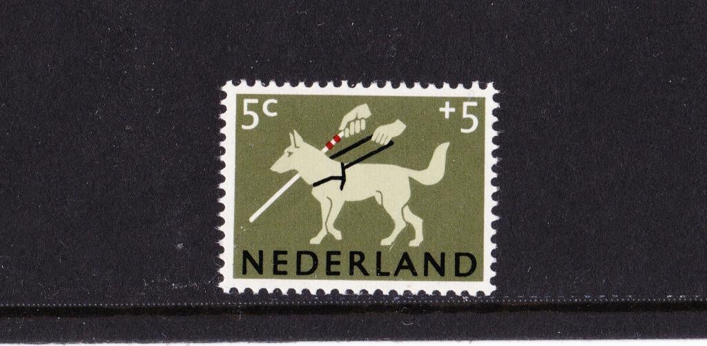 Nederland plaatfout NVPH / Mast 812 pm postfris, Verzenden, Na 1940, Postfris