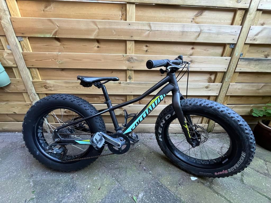 Specialized Fatboy - Stoere moutainbike voor elk terrein, Fietsen en Brommers, Ophalen, Gebruikt, Versnellingen, Schijfrem