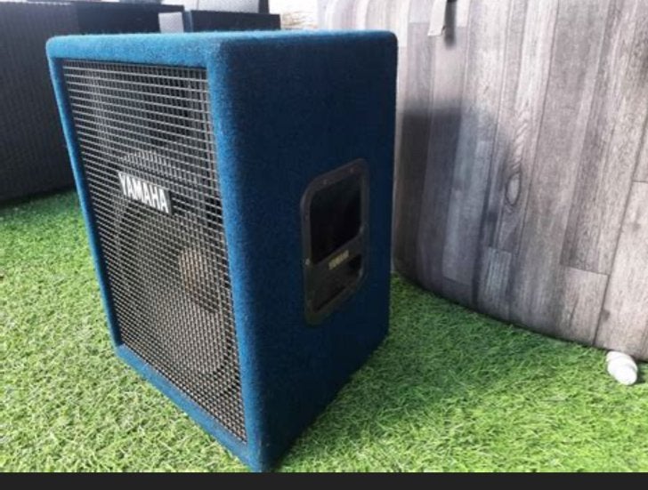 Yamaha PS 212N actieve luidspreker 250 watt, Audio, Tv en Foto, Gebruikt, Overige typen, Yamaha, Ophalen