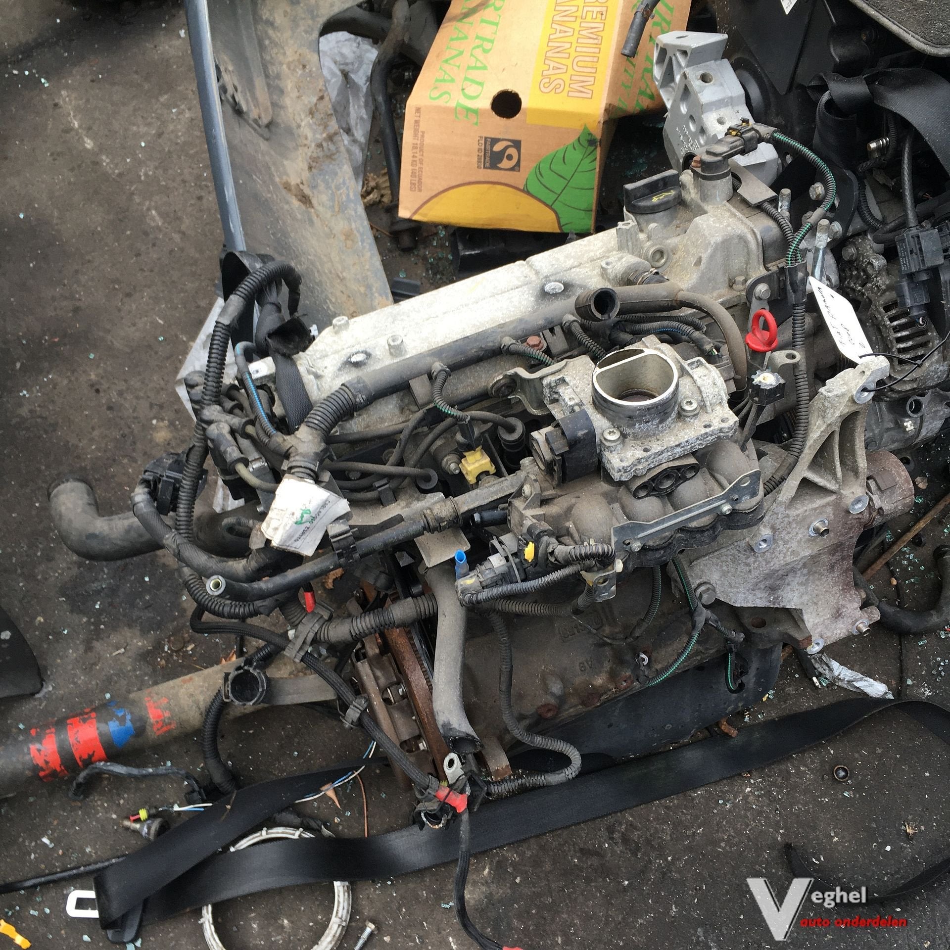 Fiat Panda 5drs 1.2 B 2008 2500221 Motorblok, Ophalen, Gebruikt, -, -