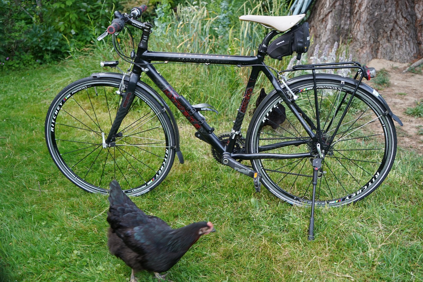 Koga Miyata CARBON Gewicht 10 kg./ Mt. 54, Ophalen, Velgrem, Zo goed als nieuw, Koga Miyata