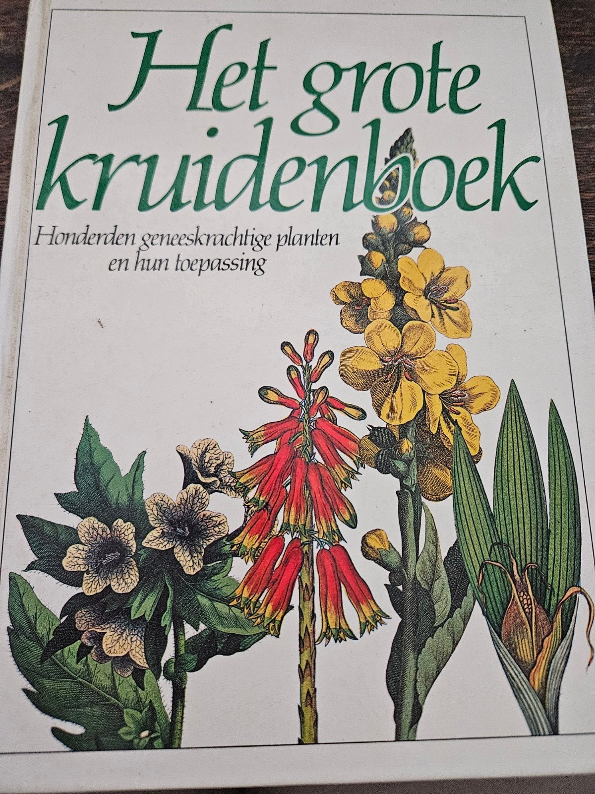 Het Grote Kruidenboek: Honderden Geneeskrachtige Planten, Boeken, Ophalen of Verzenden, Zo goed als nieuw, Kruiden en Alternatief