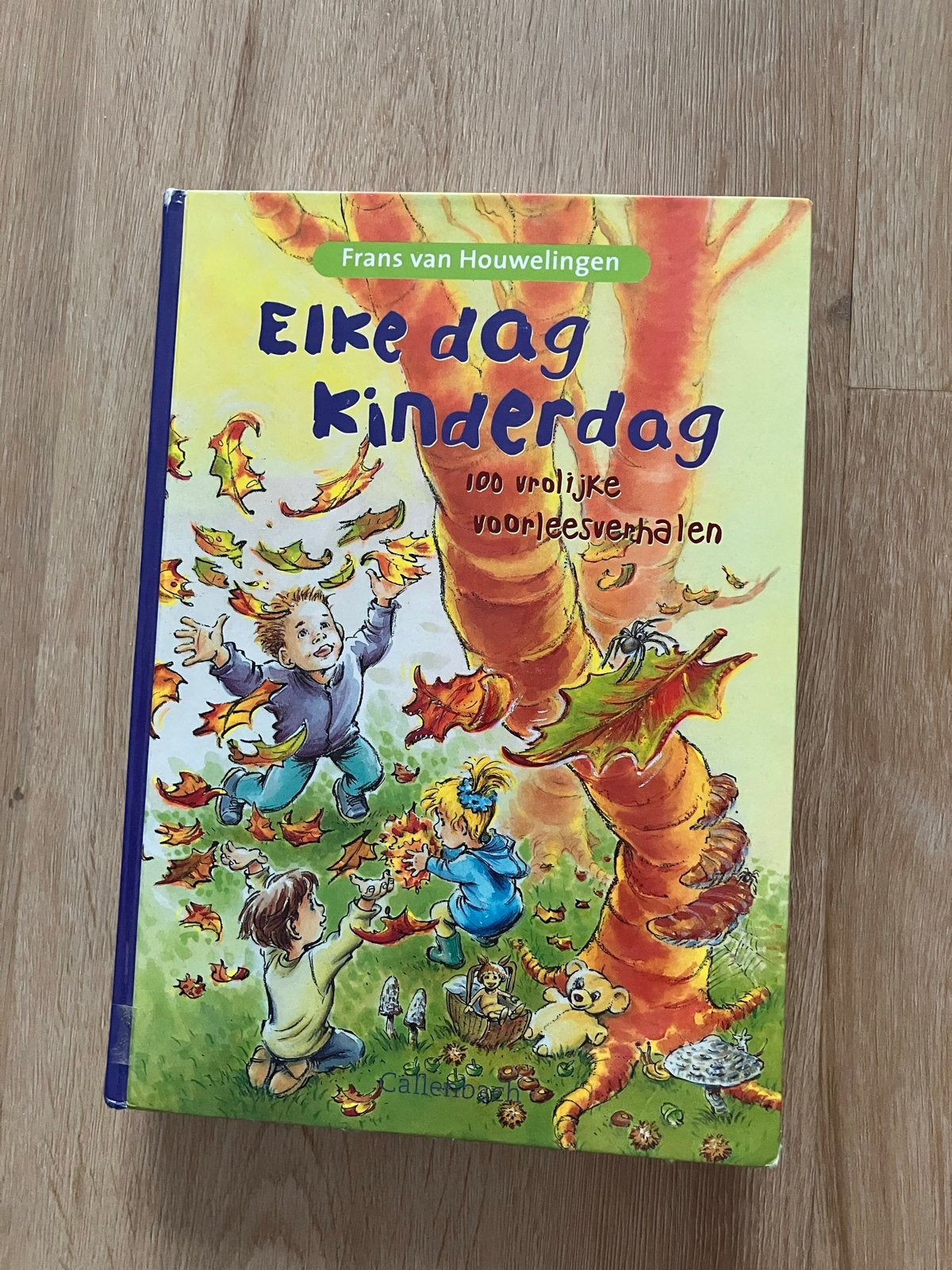 Elke dag kinderdag - Frans van Houwelingen (Gesigneerd), Ophalen, Fictie algemeen, Jongen of Meisje, Zo goed als nieuw