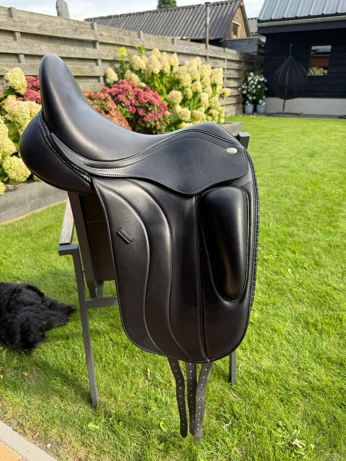 ‼️  Nieuwe Fairfax Stella Dressage, Ophalen of Verzenden, Nieuw, Dressuur