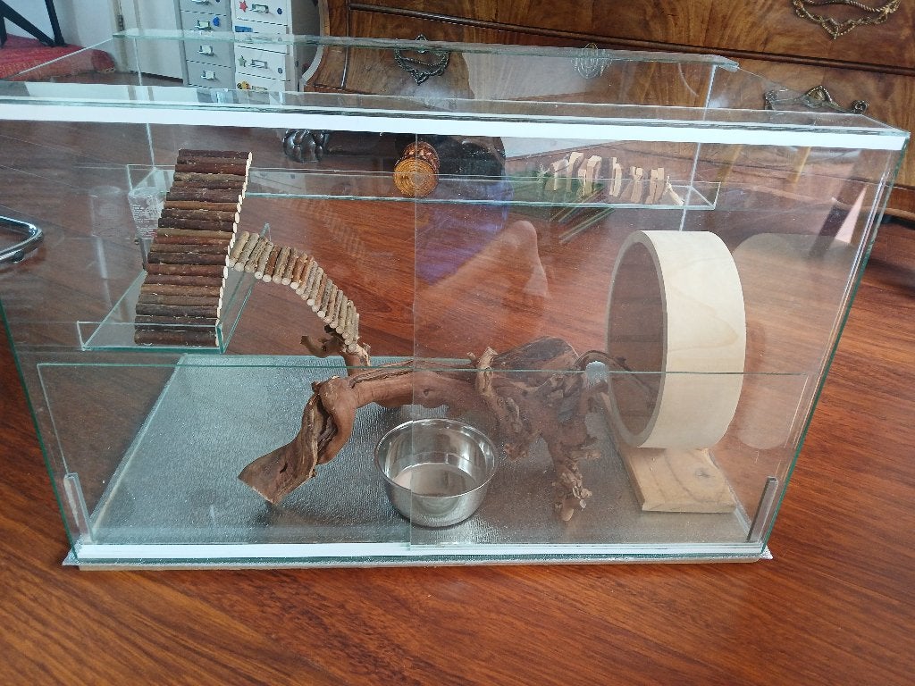 Compleet terrarium voor een hamster, Dieren en Toebehoren, Knaagdieren en Konijnen | Hokken en Kooien, Kooi, Zo goed als nieuw