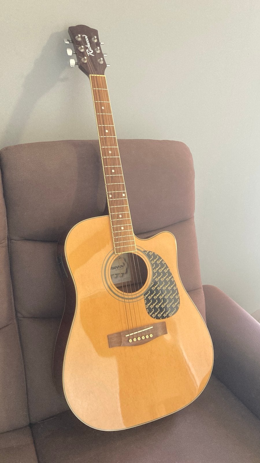 Western Gitaar - Richwood Artist Series, Ophalen, Gebruikt, Western- of Steelstringgitaar, Met (piezo-)element