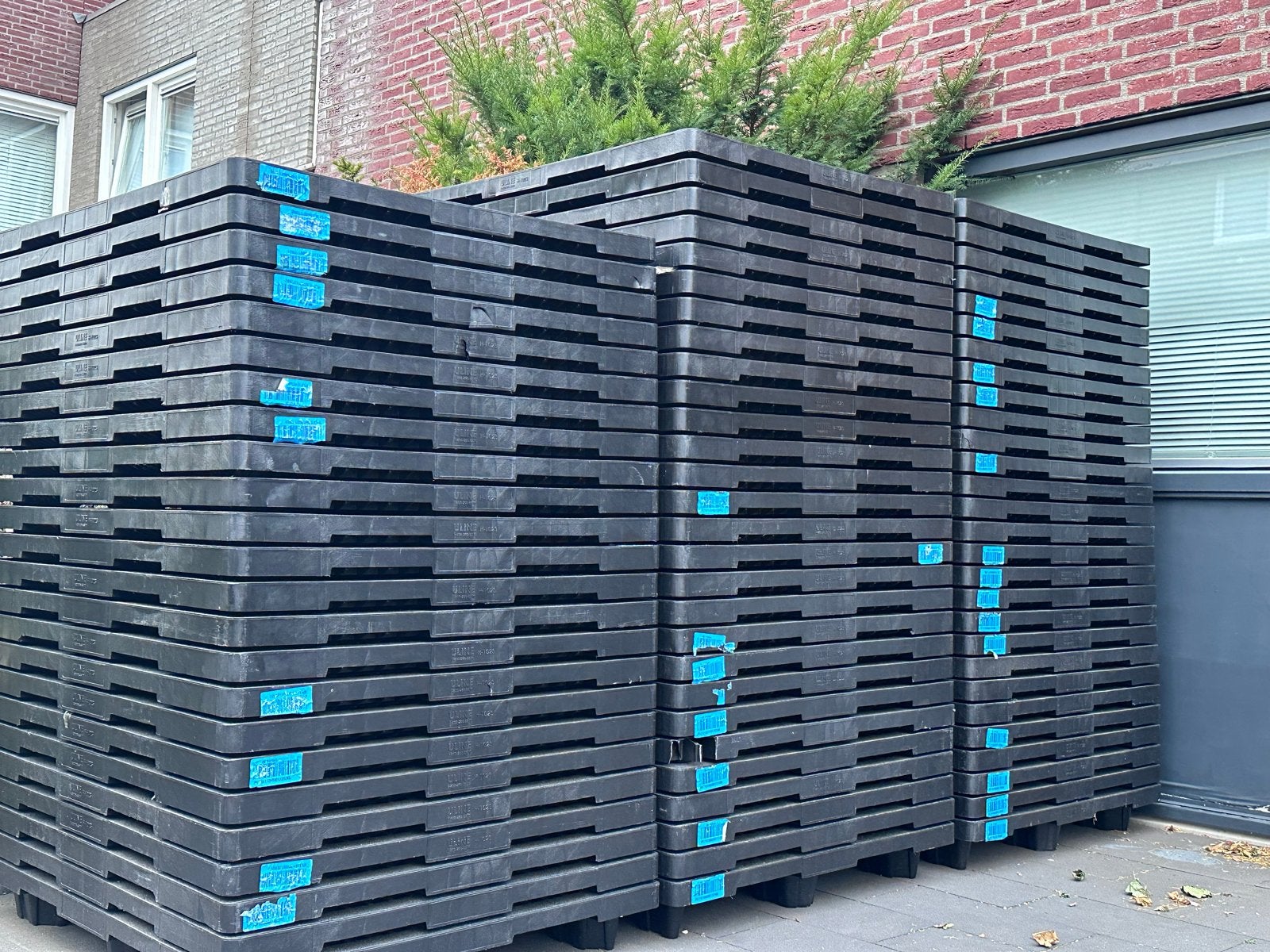100x Kunststof pallets 120x100 cm, Ophalen, 100 cm of meer, 60 cm of meer, Overige typen