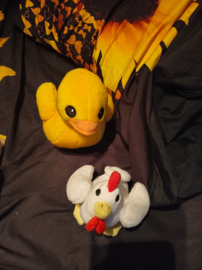 Knuffel eend en kip, Ophalen of Verzenden, Zo goed als nieuw, Eend