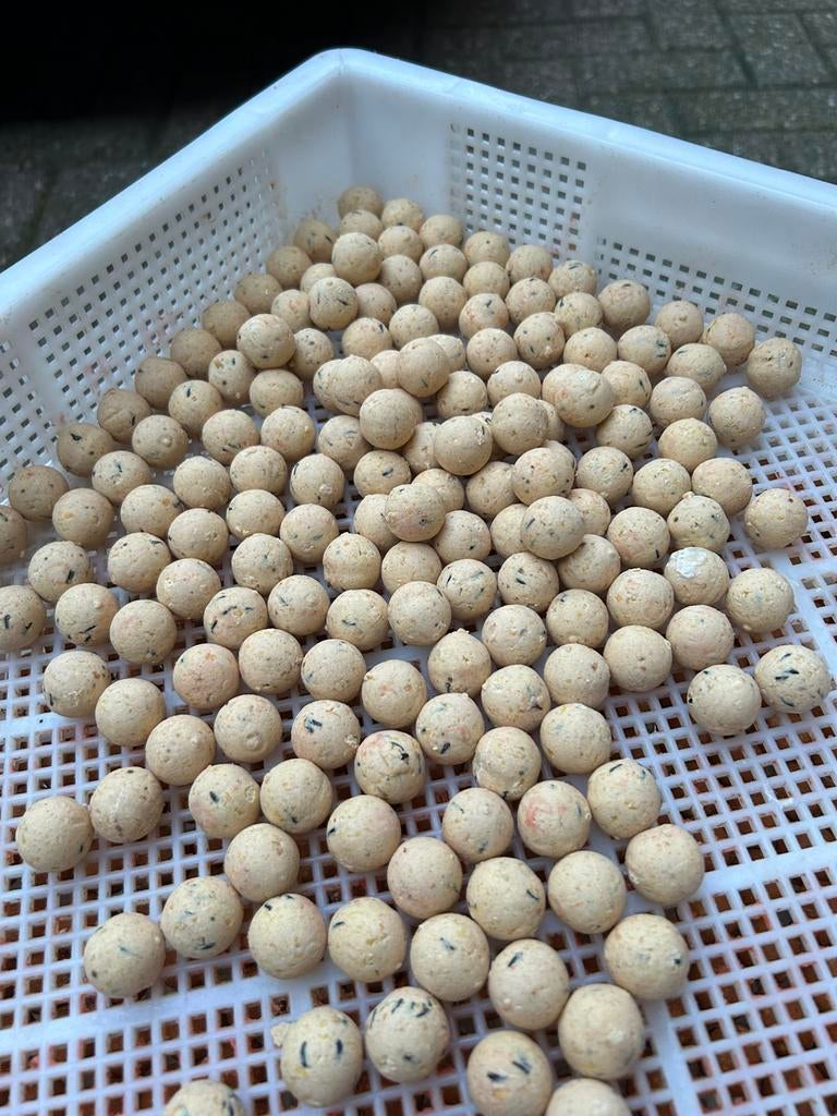Coconut cream boilie, Ophalen of Verzenden, Nieuw, Overige typen