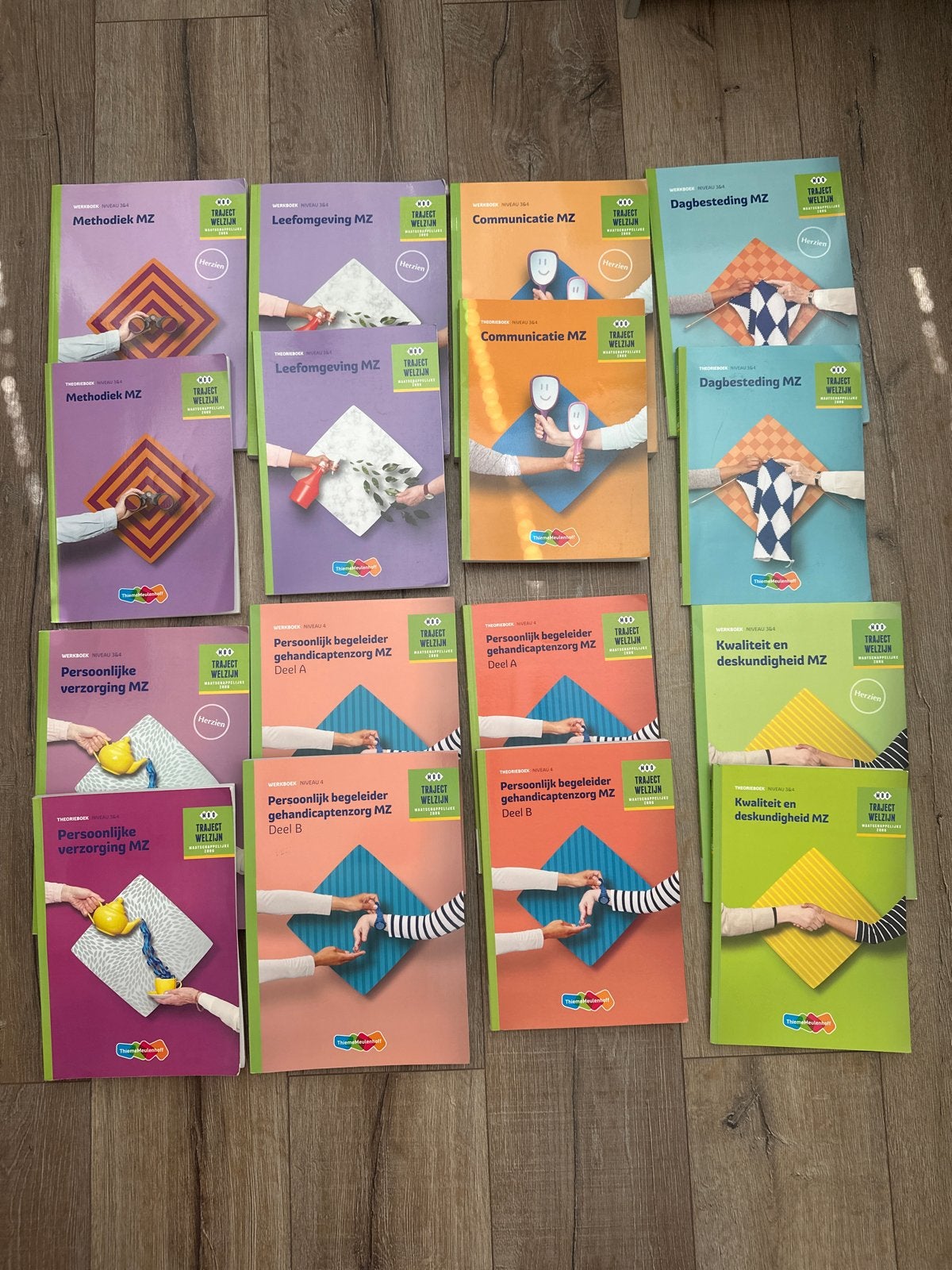 Studieboeken Persoonlijk begeleider gehandicaptenzorg MZ, Ophalen, Beta, Zo goed als nieuw, MBO