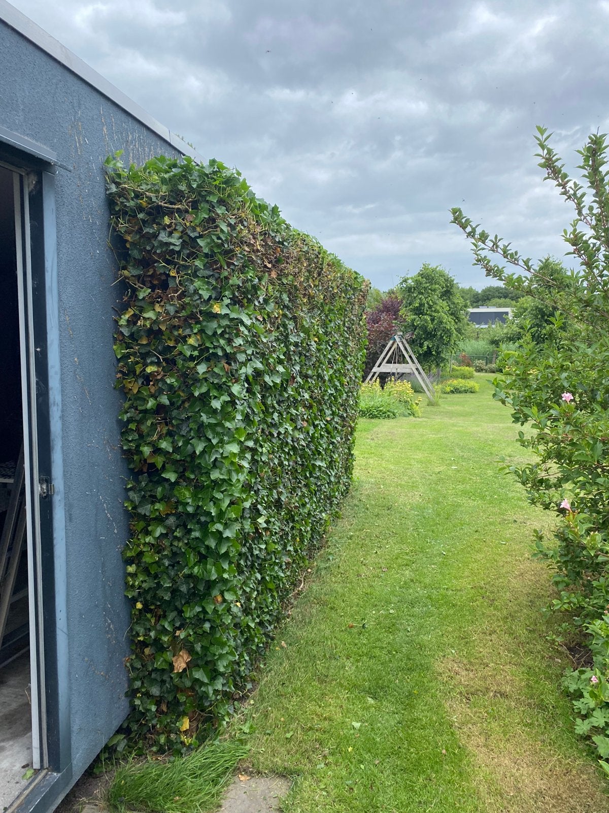 Tuinhulp aangeboden Baarn - Almere Oosterwold, Ophalen of Verzenden