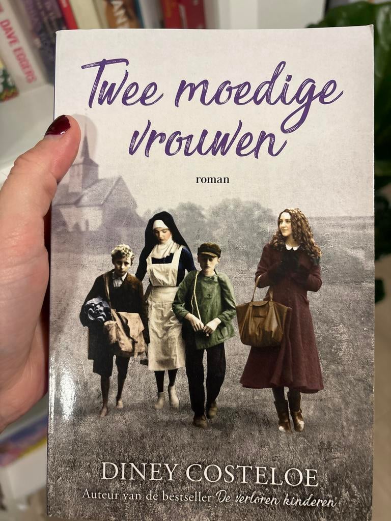 Twee moedige vrouwen - Diney Costeloe, Ophalen of Verzenden, Gelezen, Nederland