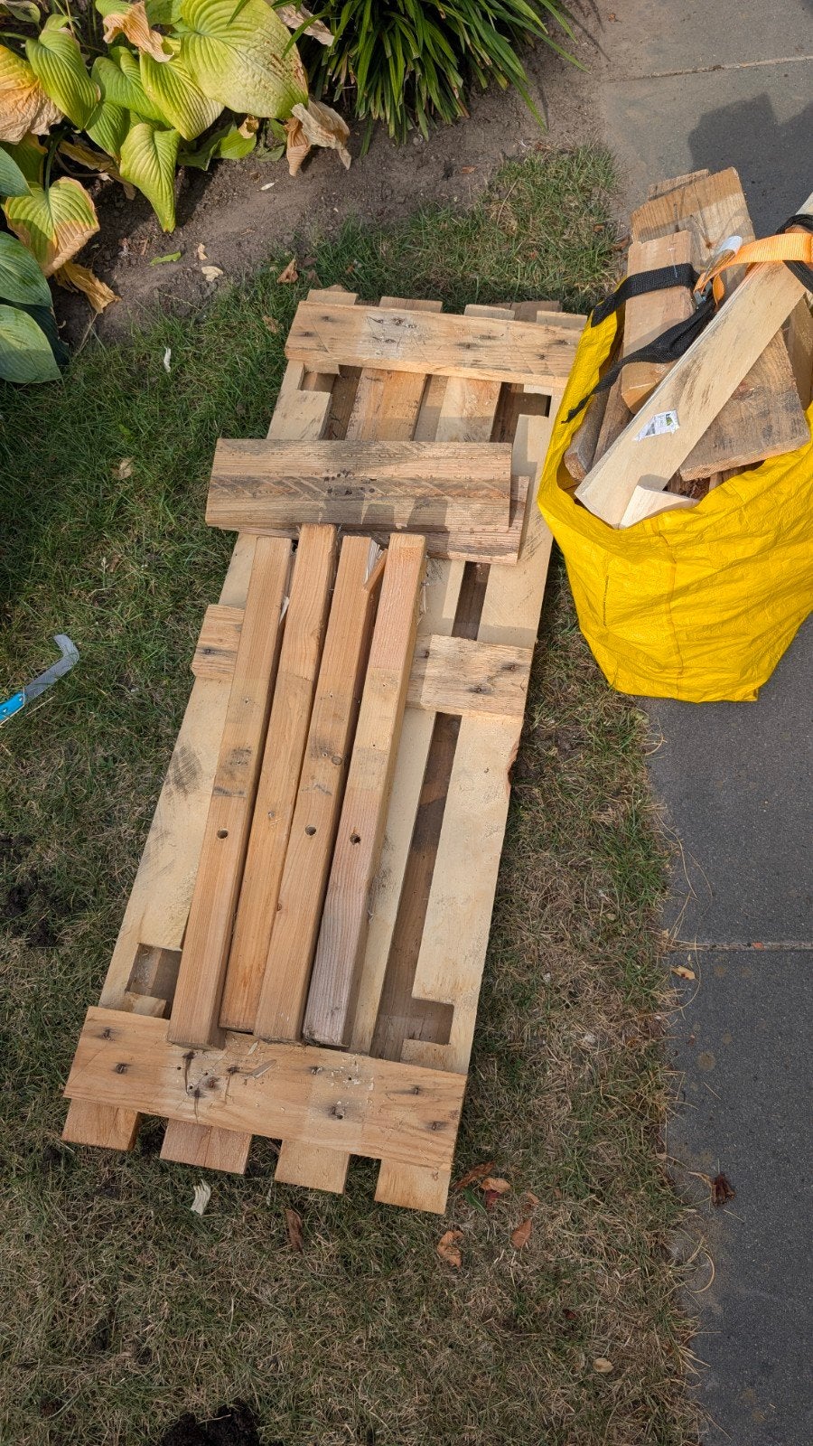 gratis stookhout kachel hout, Ophalen, 50 mm of meer, Pallet, Minder dan 200 cm