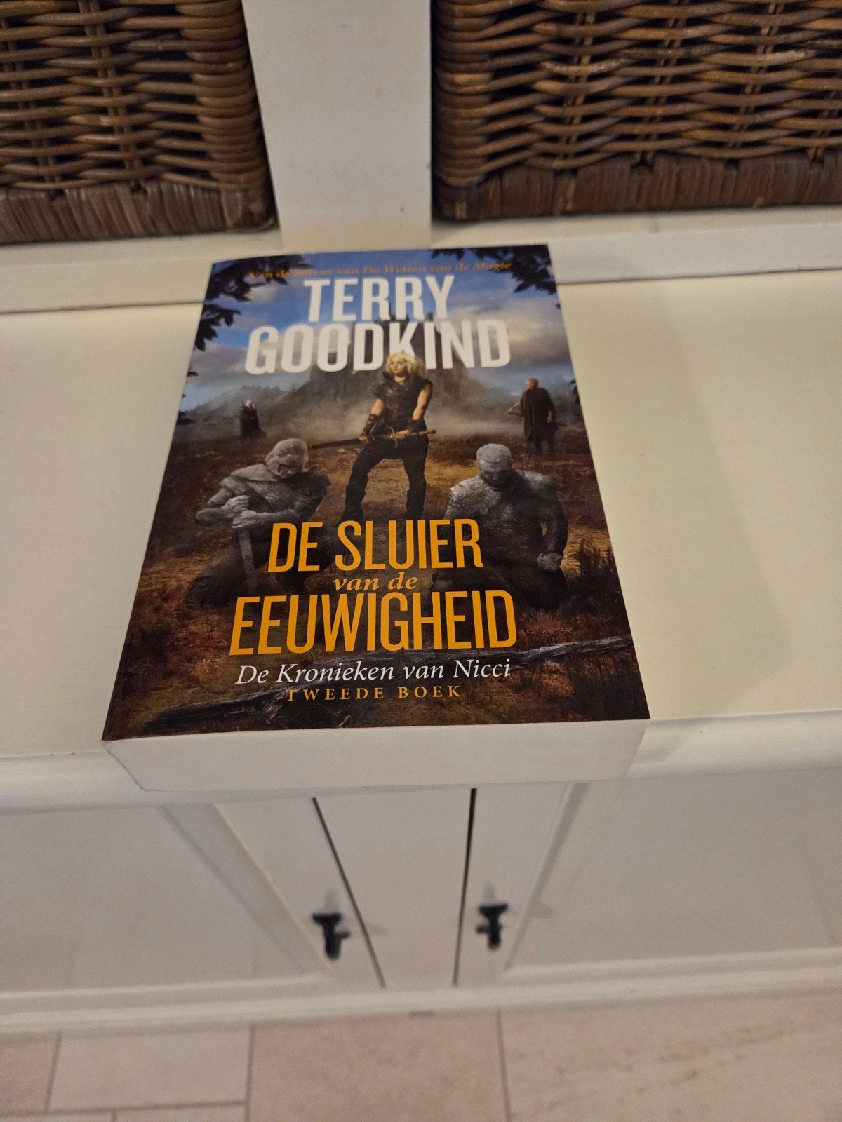 Terry Goodkind - De Sluier van de Eeuwigheid, Boeken, Ophalen of Verzenden, Gelezen