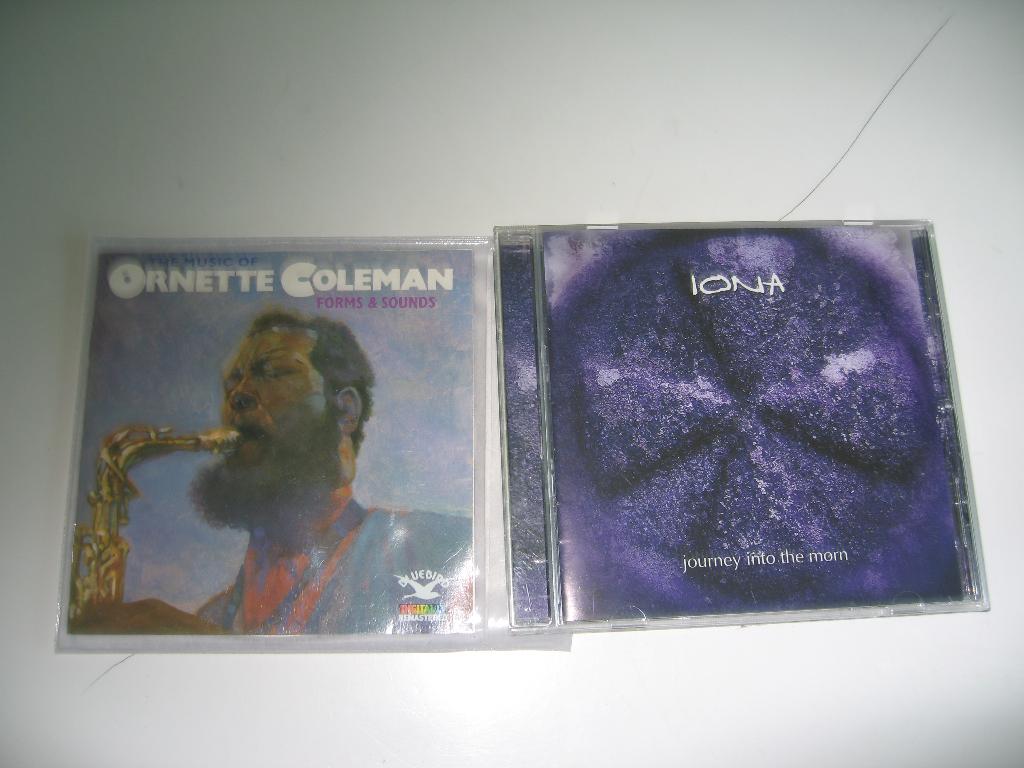 Iona - Journey into the morn, Ophalen of Verzenden, Zo goed als nieuw, Poprock