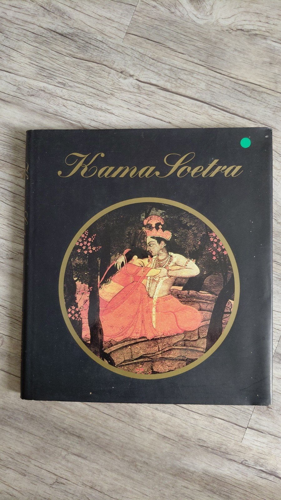Kama Soetra - Geïllustreerde Nederlandse Vertaling, Ophalen of Verzenden, Gelezen, Vatsyayana, Wereld overig
