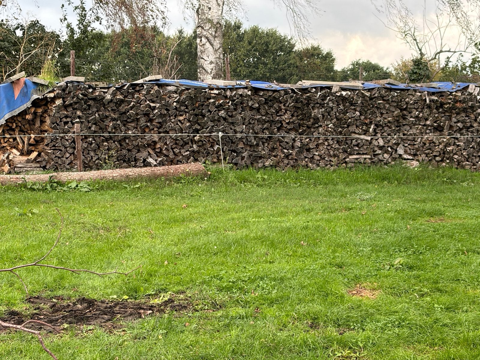 Droog haardhout eiken berken gemixt! 130€ los gestort, Minder dan 3 m³, Ophalen