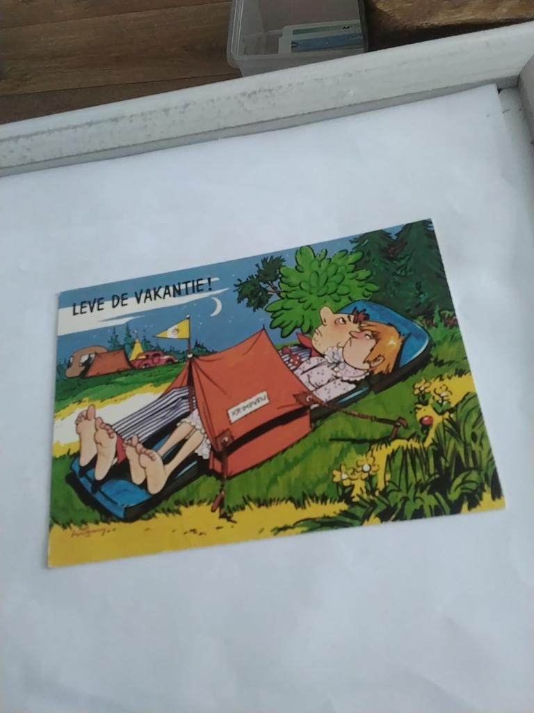 LEVE. DE VAKANTIE!, Verzamelen, Ansichtkaarten | Themakaarten, Ophalen of Verzenden