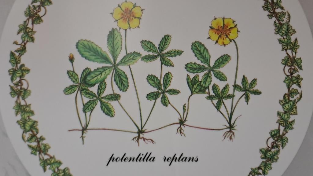 Decoratieve Italiaanse snijplank met botanische print, Onbekend, Ophalen of Verzenden, Zo goed als nieuw, Onbekend