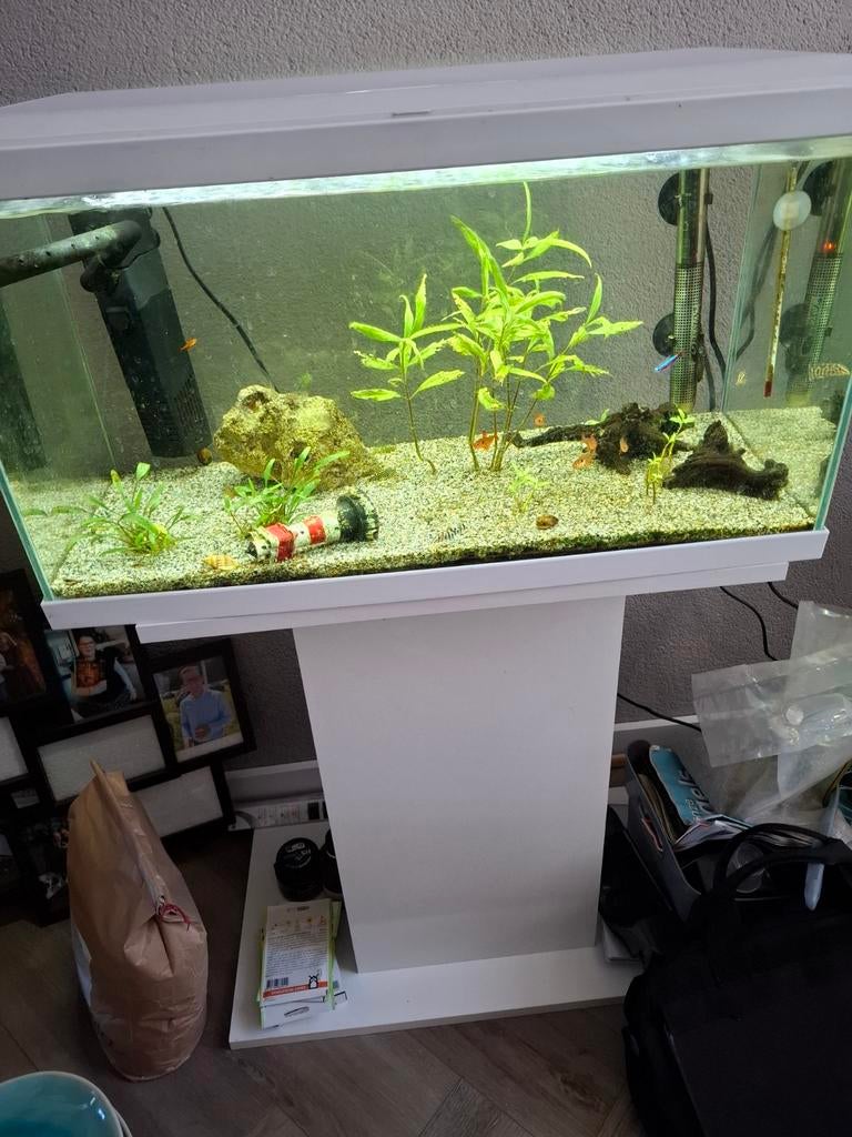 Aquarium met visjes en benodigdheden, Ophalen of Verzenden, Gevuld zoetwateraquarium