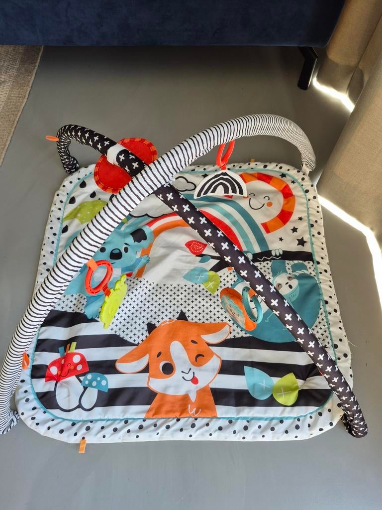 Babygym Fisher Price, Kinderen en Baby's, Speelgoed | Babyspeelgoed, Ophalen, Gebruikt, Babygym, Met geluid