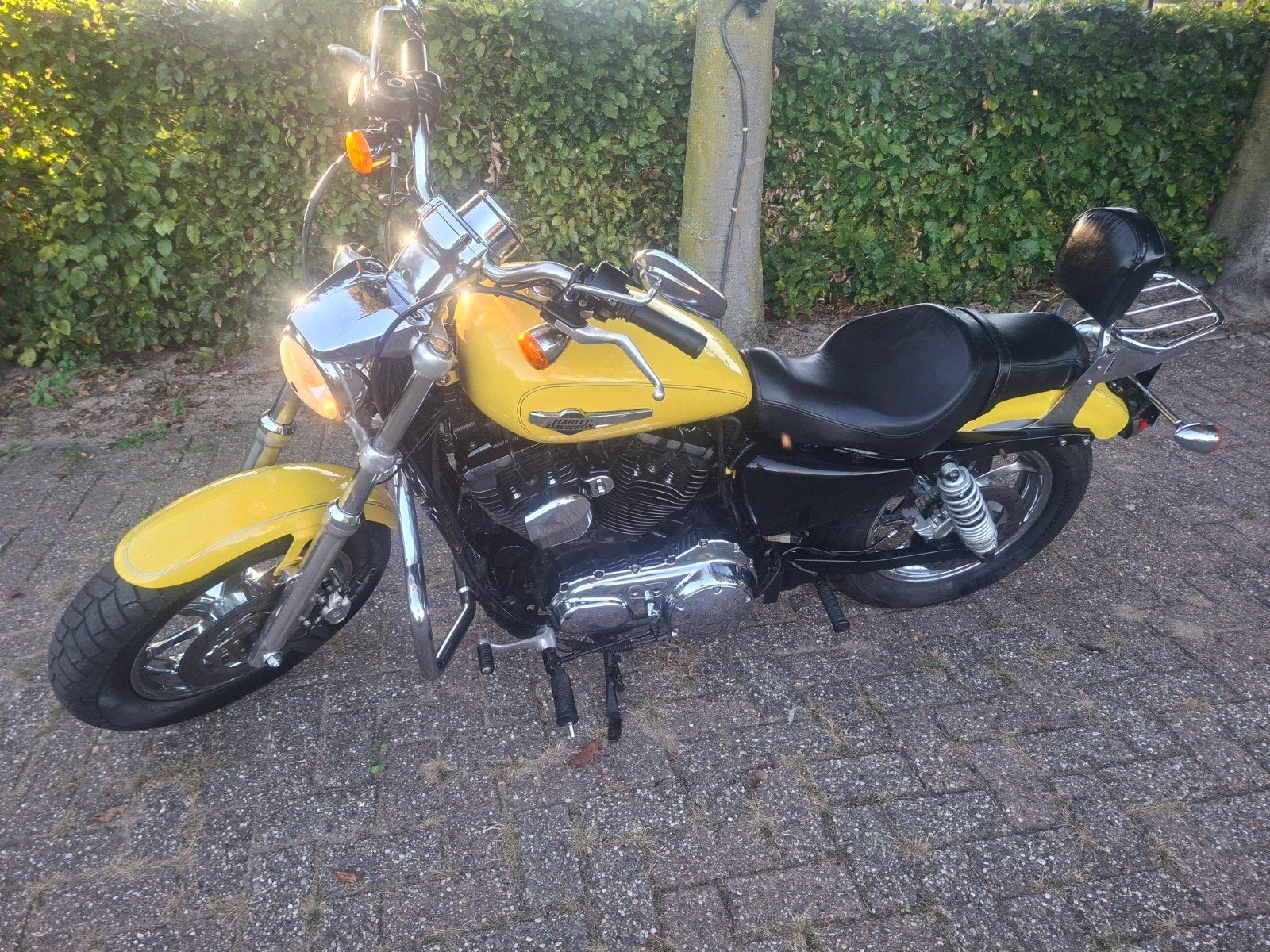 Harley-Davidson Sportster 1200 Custom 2017 - Geel, Motoren, 2 cilinders, Gebruikt, Particulier, Meer dan 35 kW