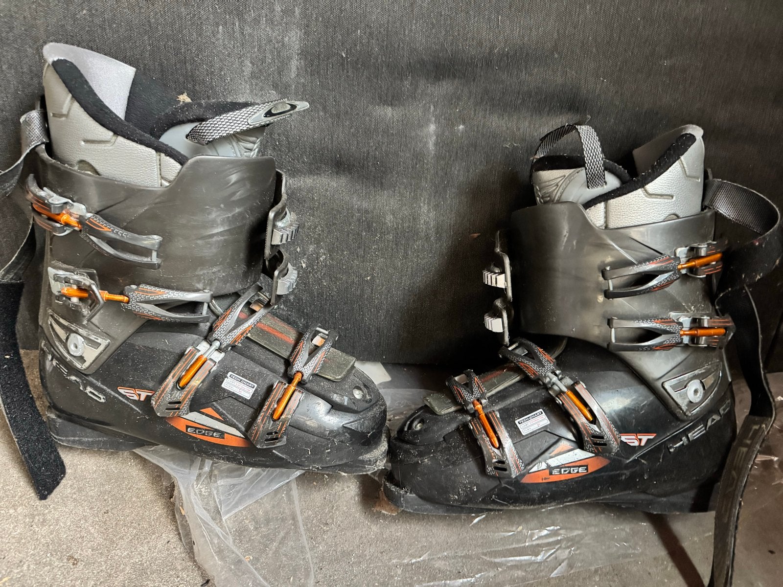 Head Edge ST skischoenen - Gebruikt, goede staat size 12 /46, Sport en Fitness, Ophalen, Gebruikt, Schoenen, Skiën