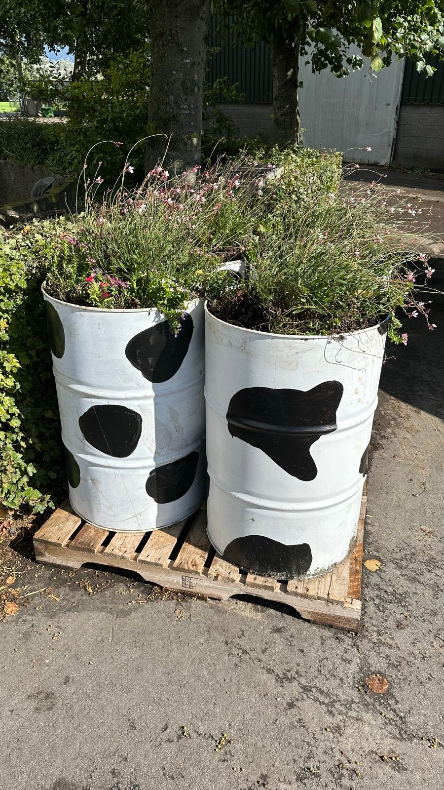 Unieke plantenbakken van olievaten - Koeienprint, Ophalen, Gebruikt, Minder dan 60 cm, Rond