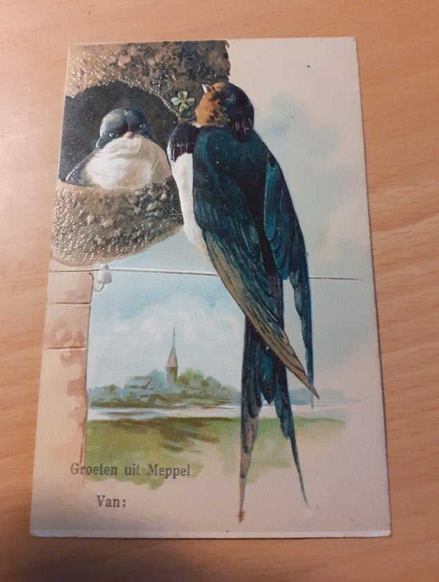groeten uit Meppel   1907, Ophalen of Verzenden, Voor 1920, Gelopen, Drenthe