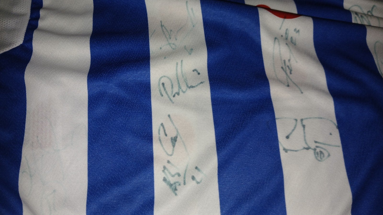SC Heerenveen shirt - Gesigneerd, Ophalen of Verzenden, Zo goed als nieuw, Overige binnenlandse clubs, Shirt