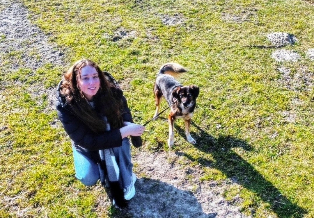 uitlaat service en oppas, Ophalen, Hond