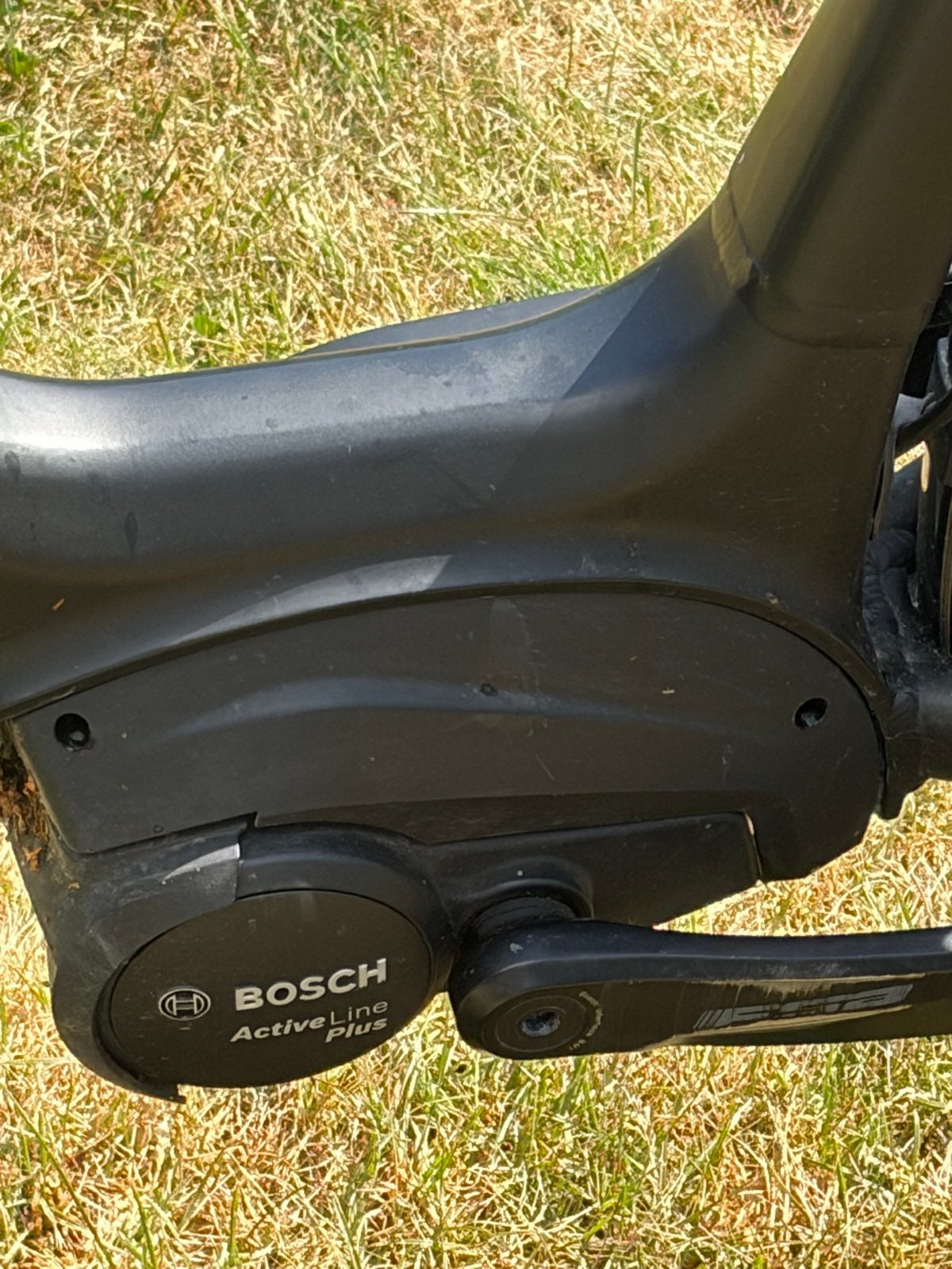 Pegasus Siena E8f Plus E-bike - Frame 55cm, 8 versn., Fietsen en Brommers, Elektrische fietsen, Gebruikt, Overige merken, 55 tot 59 cm