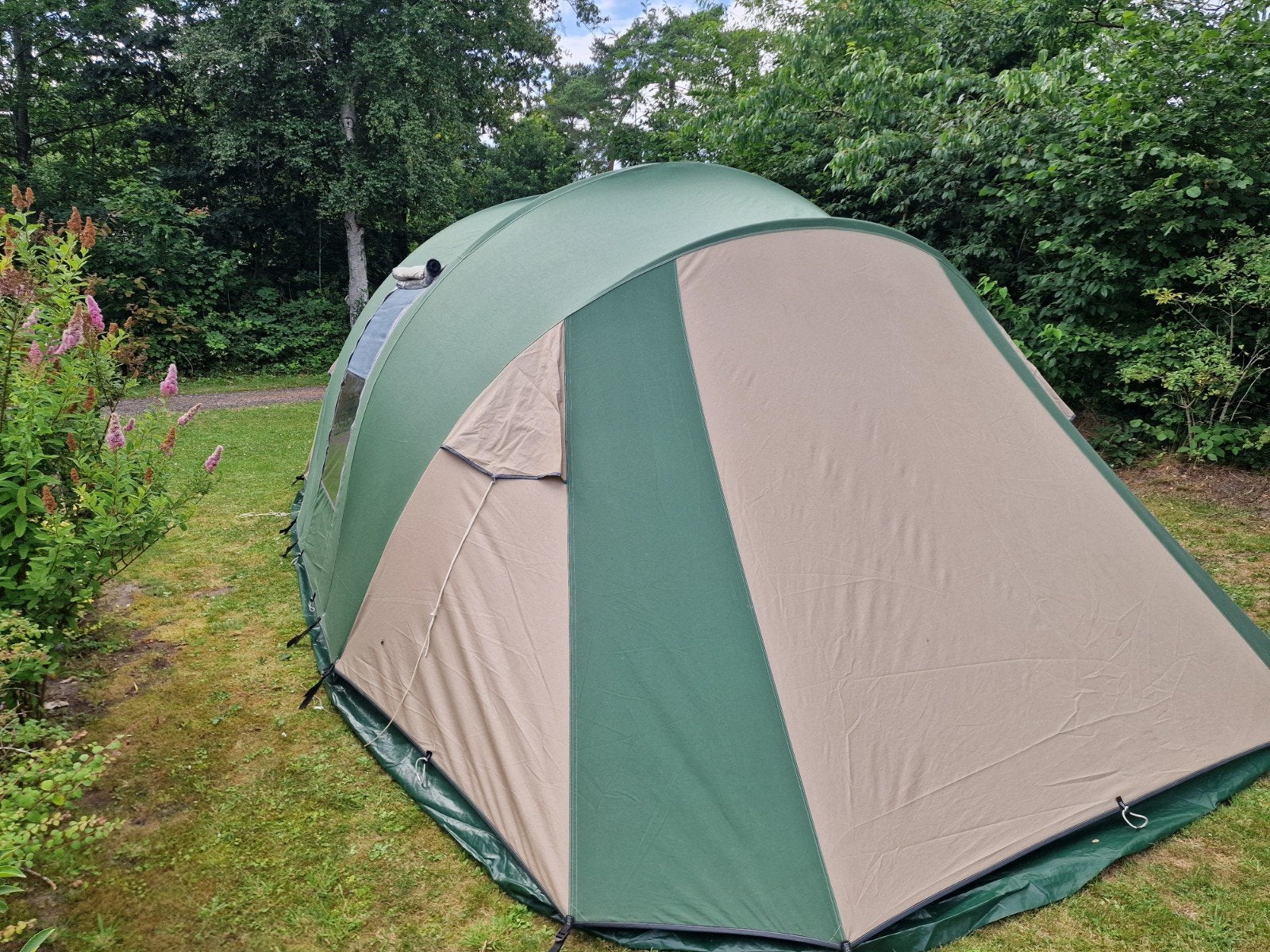 Falco steenarend 6, Caravans en Kamperen, Ophalen