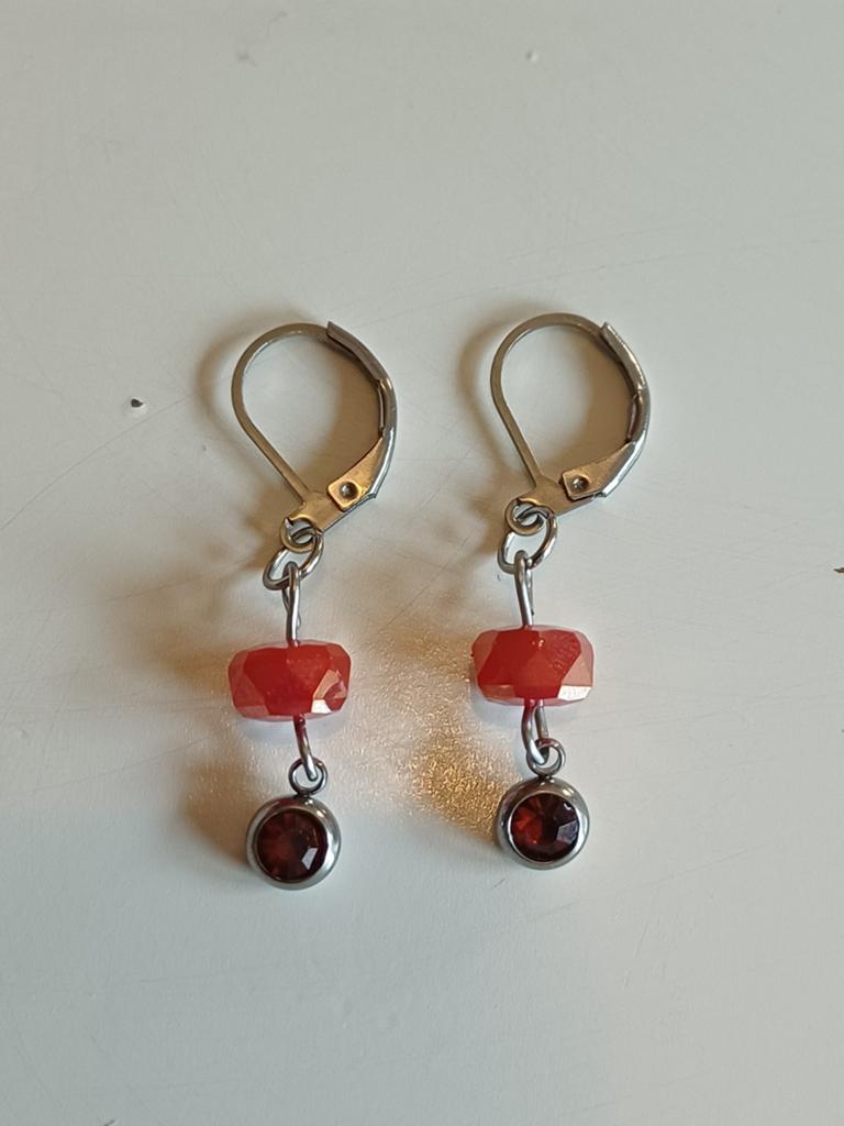 Stainless steel oorbellen, Ophalen of Verzenden, Nieuw, Goud, Overige materialen
