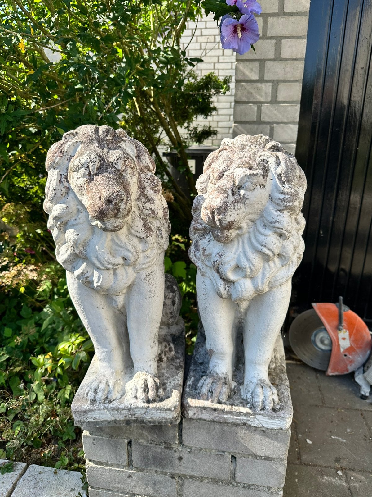 Set van 2 karakteristieke betonnen tuinleeuwen poortwachters, Ophalen, Gebruikt