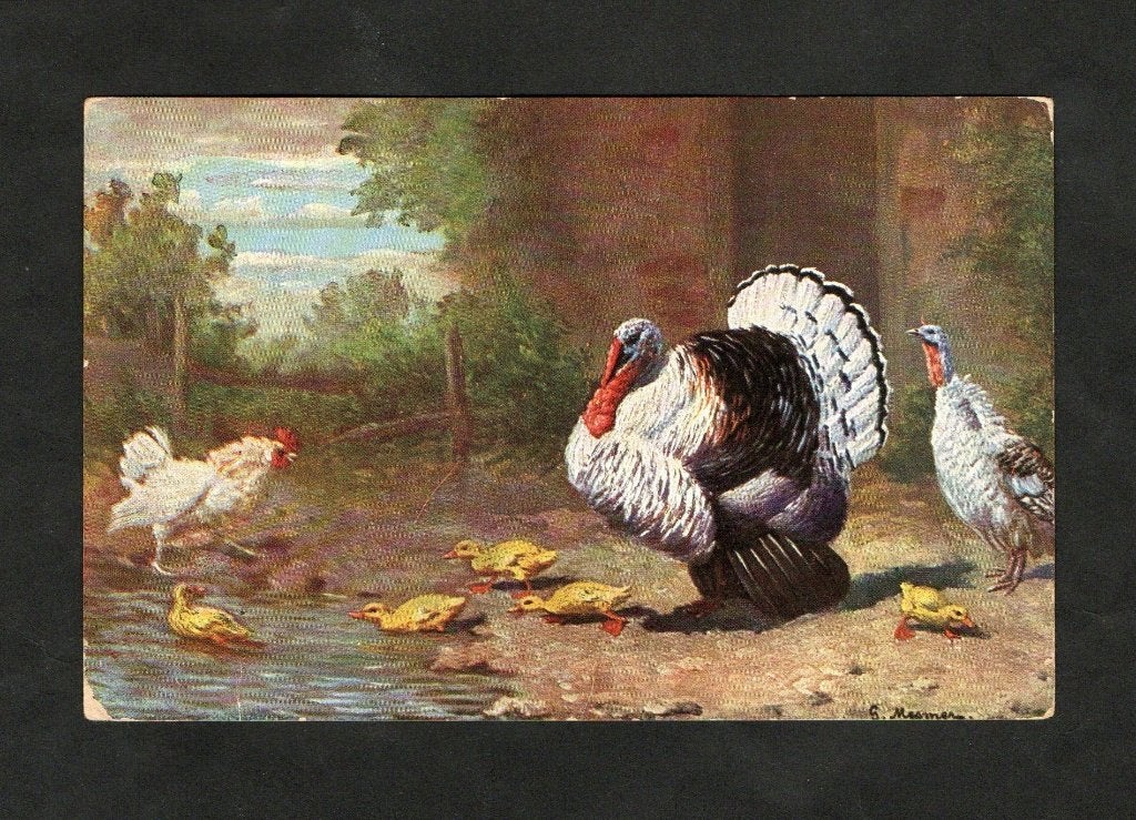 Reclamekaart Sluis Kippen Kalkoenen Eenden Scharpenhuijzen., Ophalen of Verzenden, Voor 1920, Ongelopen, Vogel