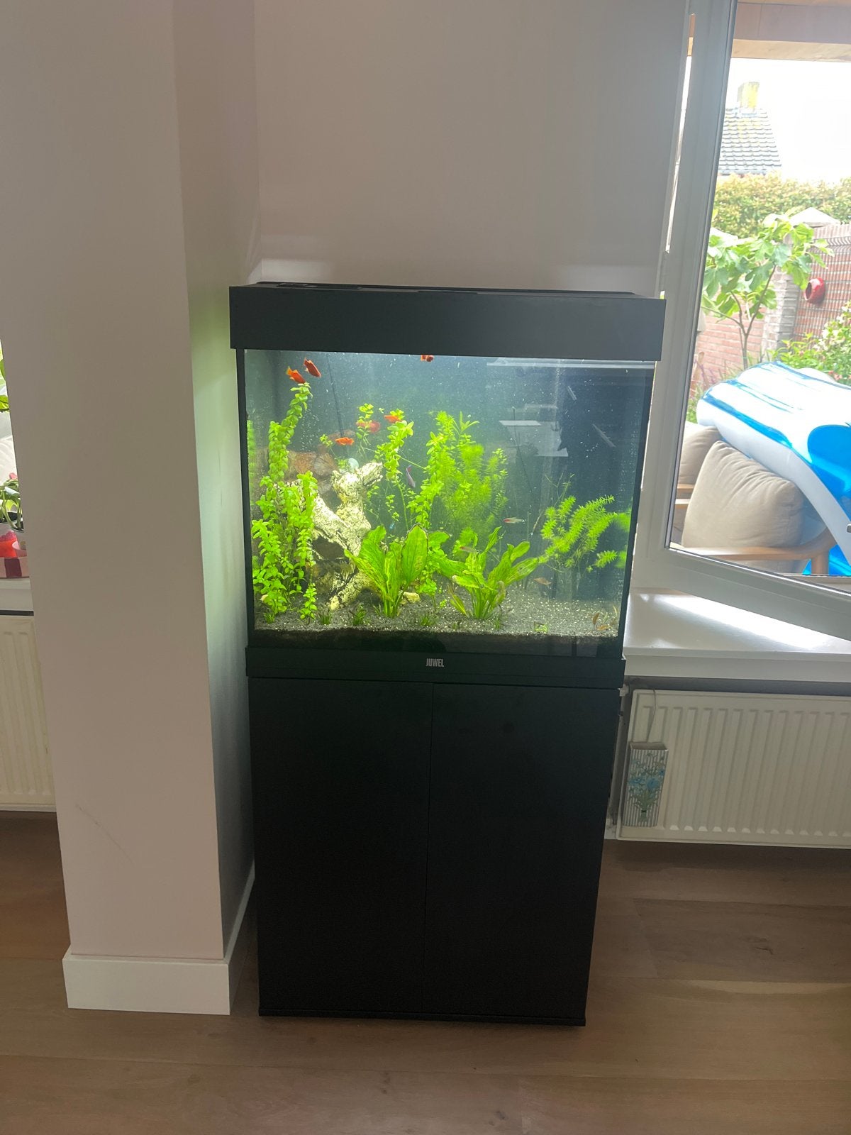 Aquarium juwel 120 liter, Ophalen, Zo goed als nieuw, Gevuld zoetwateraquarium