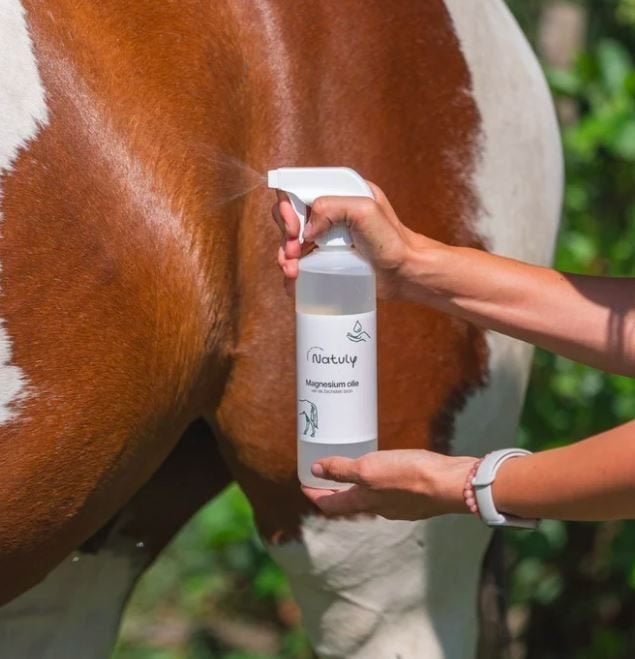 Natuly Magnesium olie voor paard pony en hond, Ophalen of Verzenden, Nieuw, Overige typen