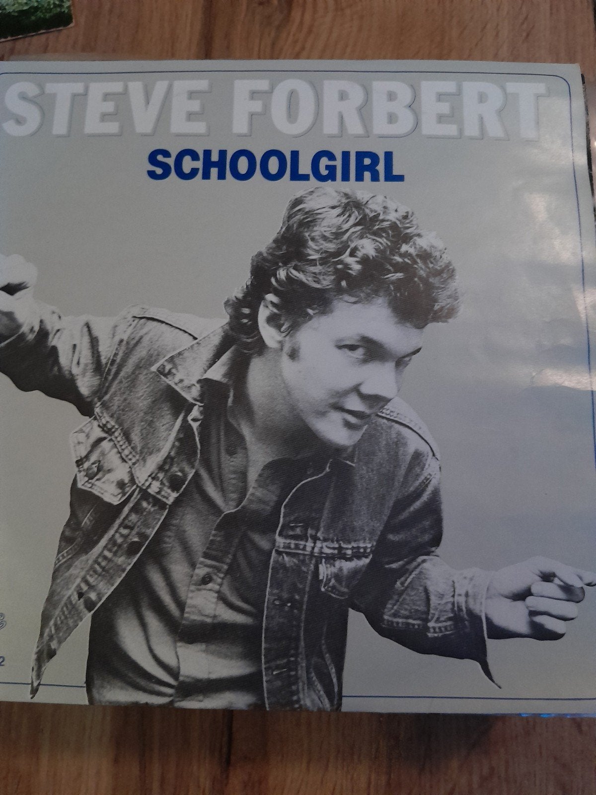 Steve forbert 7 inch schoolgirl, Ophalen of Verzenden, Zo goed als nieuw, Pop