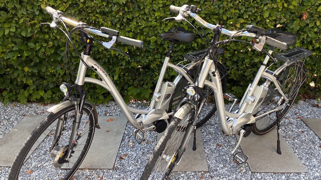 Elektrische fietsen Flyer, Ophalen, Zo goed als nieuw, Overige merken