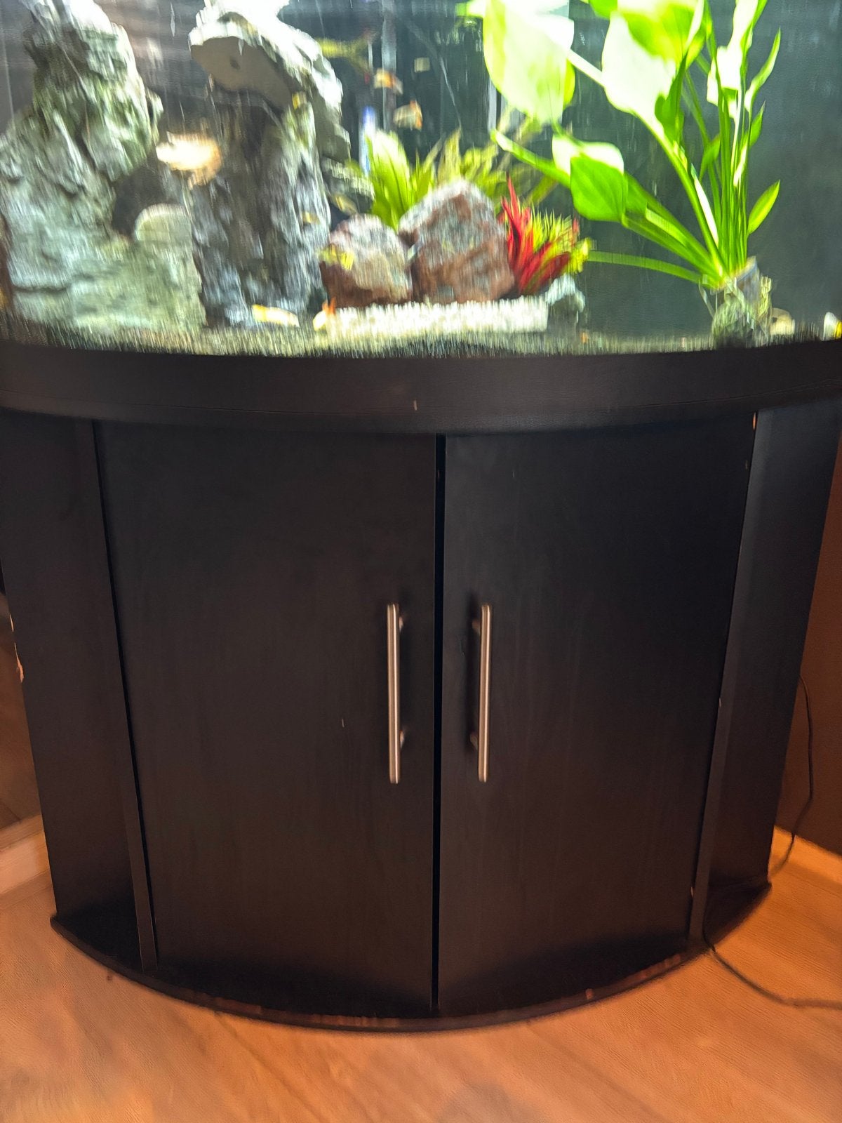 Juwel hoek aquarium, Gebruikt, Inclusief vissen, Aquariummeubel, Ophalen of Verzenden