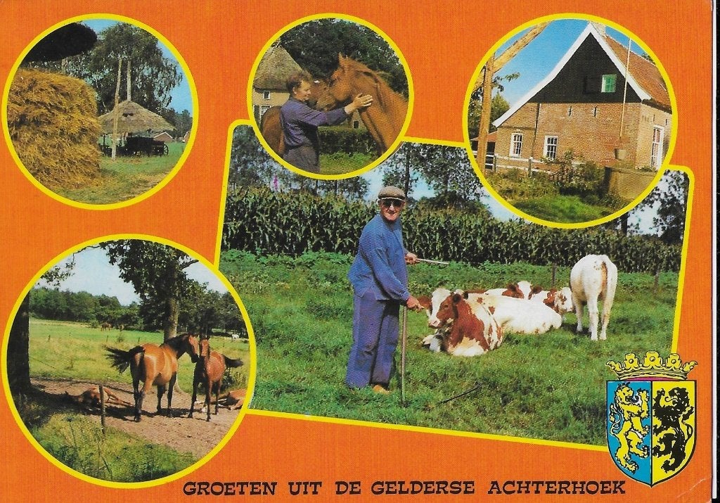 Ch1035 Gelopen ansichtkaart de gelderse achterhoek, Ophalen of Verzenden, 1980 tot heden, Gelopen